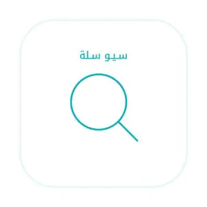 إعدادات السيو الأساسية - سلة