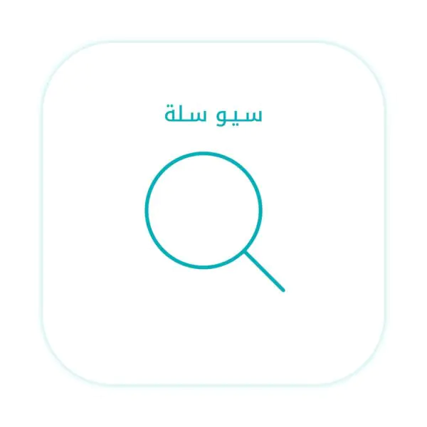 إعدادات السيو الأساسية - سلة